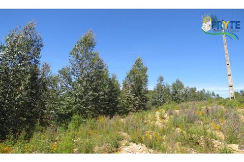 Helårsgrund i Serta, Castelo Branco, Serta - € 39.000 | Ref: AA112 - foto 34