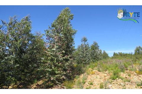 Helårsgrund i Serta, Castelo Branco, Serta - € 39.000 | Ref: AA112 - foto 35