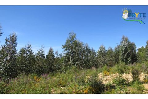Helårsgrund i Serta, Castelo Branco, Serta - € 39.000 | Ref: AA112 - foto 36