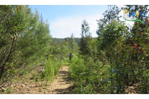 Helårsgrund i Serta, Castelo Branco, Serta - € 39.000 | Ref: AA112 - foto 49