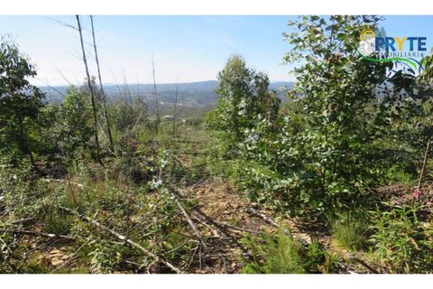 Helårsgrund i Serta, Castelo Branco, Serta - € 37.000 | Ref: AA106 - foto 2