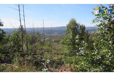Helårsgrund i Serta, Castelo Branco, Serta - € 37.000 | Ref: AA106 - foto 3