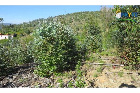 Helårsgrund i Serta, Castelo Branco, Serta - € 37.000 | Ref: AA106 - foto 4