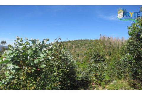 Helårsgrund i Serta, Castelo Branco, Serta - € 37.000 | Ref: AA106 - foto 5