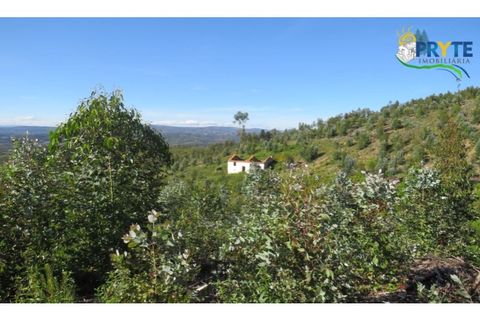 Helårsgrund i Serta, Castelo Branco, Serta - € 37.000 | Ref: AA106 - foto 6