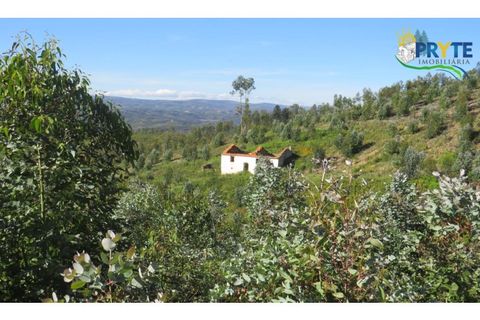 Helårsgrund i Serta, Castelo Branco, Serta - € 37.000 | Ref: AA106 - foto 7