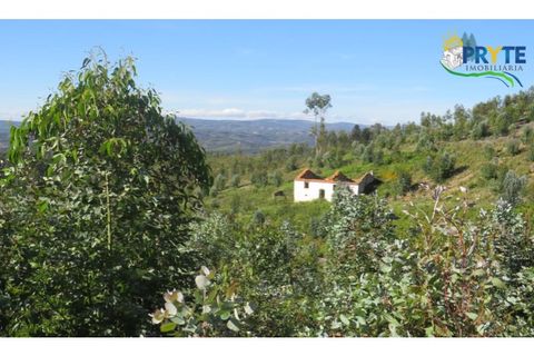 Helårsgrund i Serta, Castelo Branco, Serta - € 37.000 | Ref: AA106 - foto 8