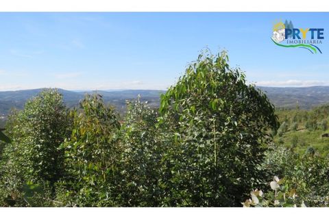 Helårsgrund i Serta, Castelo Branco, Serta - € 37.000 | Ref: AA106 - foto 9