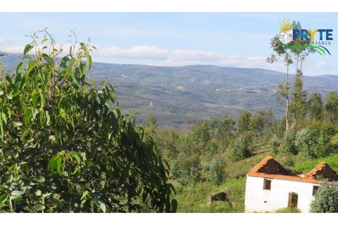 Helårsgrund i Serta, Castelo Branco, Serta - € 37.000 | Ref: AA106 - foto 11