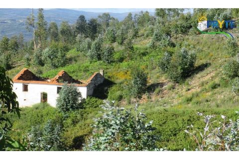 Helårsgrund i Serta, Castelo Branco, Serta - € 37.000 | Ref: AA106 - foto 12