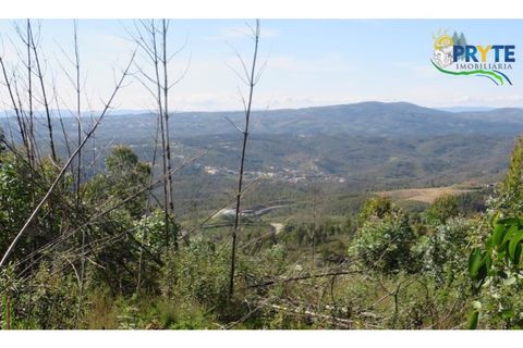 Helårsgrund i Serta, Castelo Branco, Serta - € 37.000 | Ref: AA106 - foto 13