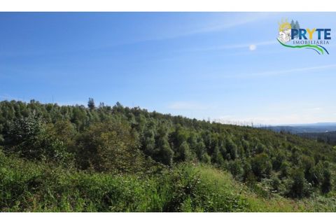 Helårsgrund i Serta, Castelo Branco, Serta - € 37.000 | Ref: AA106 - foto 14
