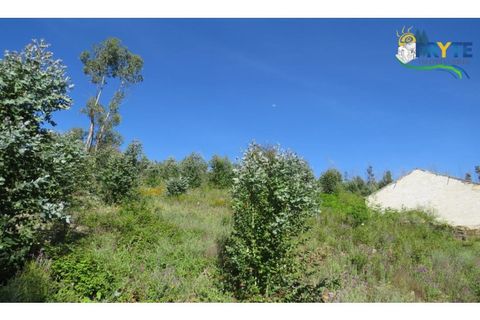 Helårsgrund i Serta, Castelo Branco, Serta - € 37.000 | Ref: AA106 - foto 15