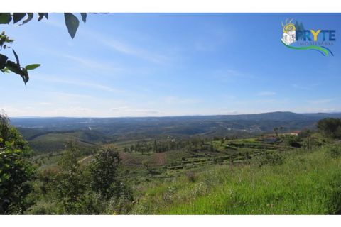 Helårsgrund i Serta, Castelo Branco, Serta - € 37.000 | Ref: AA106 - foto 16