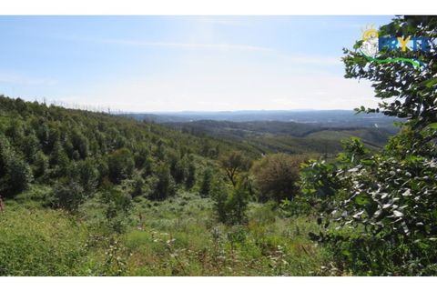 Helårsgrund i Serta, Castelo Branco, Serta - € 37.000 | Ref: AA106 - foto 17