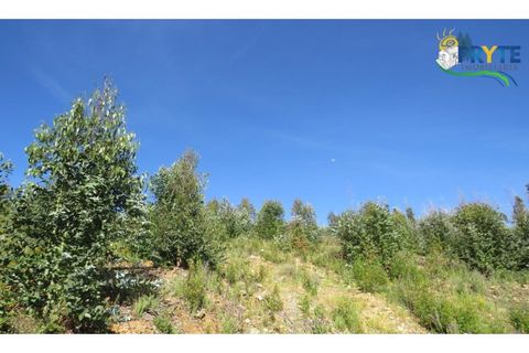 Helårsgrund i Serta, Castelo Branco, Serta - € 37.000 | Ref: AA106 - foto 21