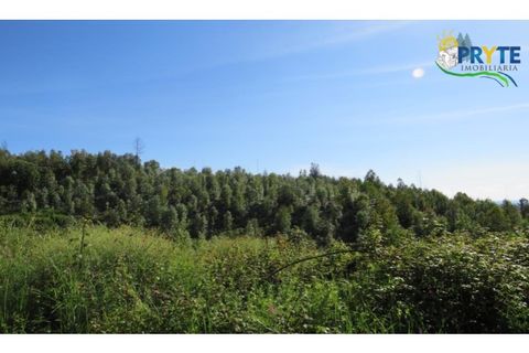 Helårsgrund i Serta, Castelo Branco, Serta - € 37.000 | Ref: AA106 - foto 22
