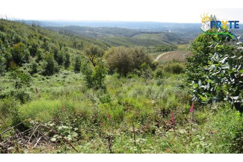 Helårsgrund i Serta, Castelo Branco, Serta - € 37.000 | Ref: AA106 - foto 24