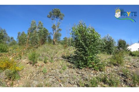 Helårsgrund i Serta, Castelo Branco, Serta - € 37.000 | Ref: AA106 - foto 25