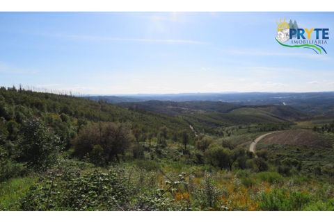 Helårsgrund i Serta, Castelo Branco, Serta - € 37.000 | Ref: AA106 - foto 26