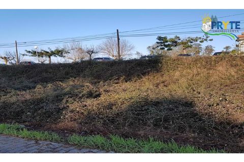 Helårsgrund i Serta, Castelo Branco, Serta - € 63.000 | Ref: MG92 - foto 3