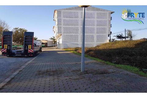Helårsgrund i Serta, Castelo Branco, Serta - € 63.000 | Ref: MG92 - foto 5