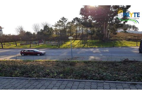 Helårsgrund i Serta, Castelo Branco, Serta - € 63.000 | Ref: MG20 - foto 9