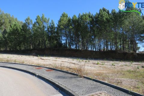 Helårsgrund i Serta, Castelo Branco, Serta - € 29.500 | Ref: MG19 - foto 2