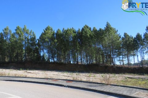 Helårsgrund i Serta, Castelo Branco, Serta - € 29.500 | Ref: MG19 - foto 3