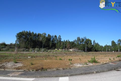 Helårsgrund i Serta, Castelo Branco, Serta - € 30.000 | Ref: MG21 - foto 3