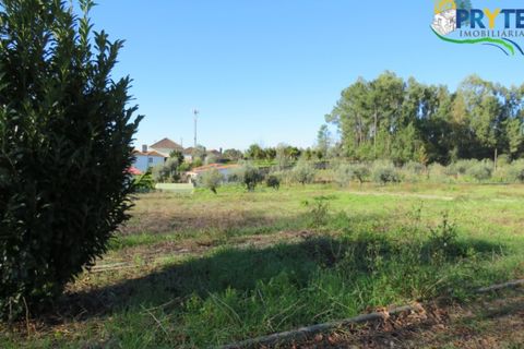 Helårsgrund i Serta, Castelo Branco, Serta - € 67.500 | Ref: AS52 - foto 3