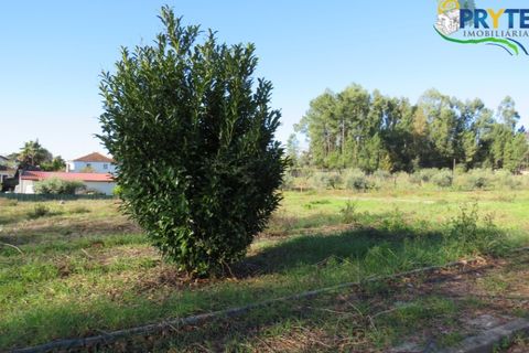 Helårsgrund i Serta, Castelo Branco, Serta - € 67.500 | Ref: AS52 - foto 4