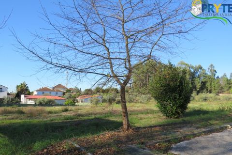 Helårsgrund i Serta, Castelo Branco, Serta - € 67.500 | Ref: AS52 - foto 5