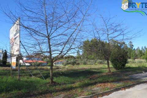 Helårsgrund i Serta, Castelo Branco, Serta - € 67.500 | Ref: AS52 - foto 6