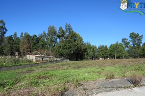 Helårsgrund i Serta, Castelo Branco, Serta - € 28.500 | Ref: AS55 - foto 2