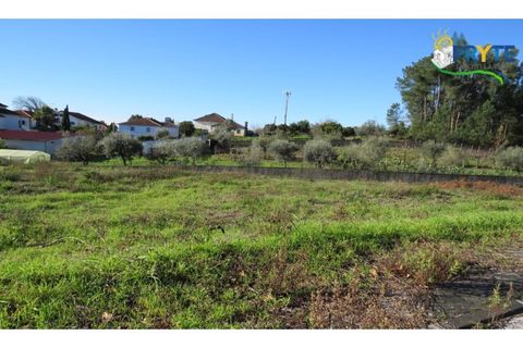 Helårsgrund i Serta, Castelo Branco, Serta - € 28.500 | Ref: VF70 - foto 2