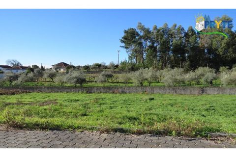 Helårsgrund i Serta, Castelo Branco, Serta - € 27.000 | Ref: VF66 - foto 3