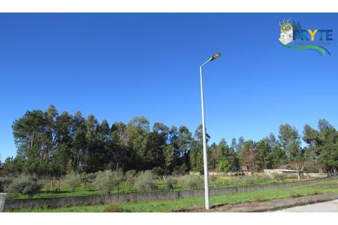 Helårsgrund i Serta, Castelo Branco, Serta - € 27.000 | Ref: VF66 - foto 5