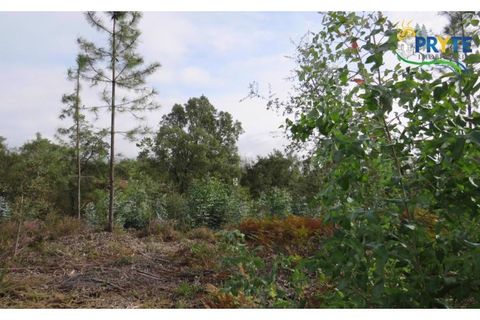 Helårsgrund i Cabecudo, Castelo Branco, Cabecudo - € 35.000 | Ref: AS40 - foto 8