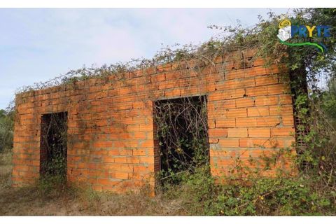 Terra a Cabecudo, Castelo Branco, Cabecudo - € 45.000 | Ref: AS38 - foto 6