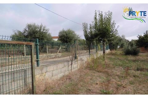 Terra a Cabecudo, Castelo Branco, Cabecudo - € 45.000 | Ref: AS38 - foto 10