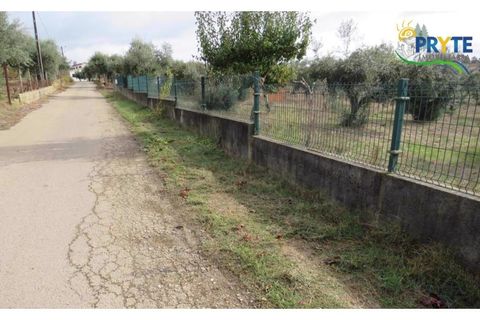 Terra a Cabecudo, Castelo Branco, Cabecudo - € 45.000 | Ref: AS38 - foto 11