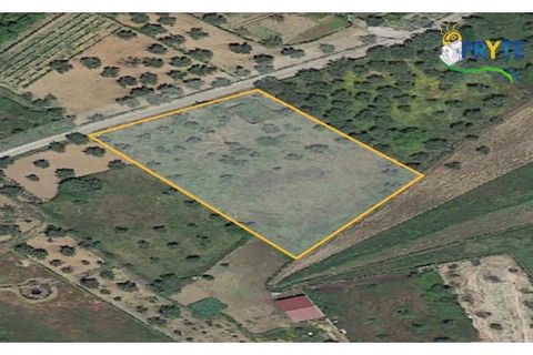 Terra a Cabecudo, Castelo Branco, Cabecudo - € 45.000 | Ref: AS38 - foto 15