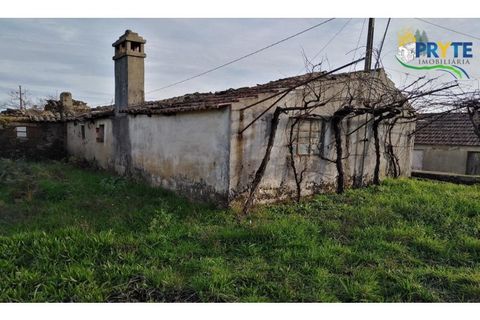 Landejendom i Serta, Castelo Branco, Serta - € 57.000 | Ref: VF129 - foto 1