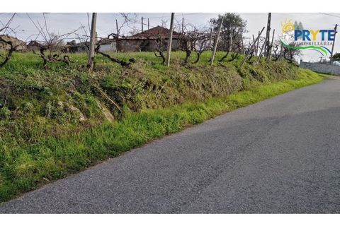Landejendom i Serta, Castelo Branco, Serta - € 57.000 | Ref: VF129 - foto 2