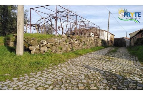 Landejendom i Serta, Castelo Branco, Serta - € 57.000 | Ref: VF129 - foto 3
