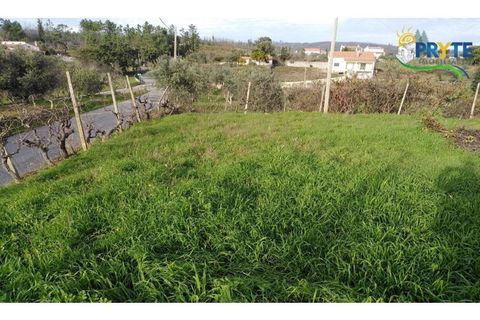 Landejendom i Serta, Castelo Branco, Serta - € 57.000 | Ref: VF129 - foto 6