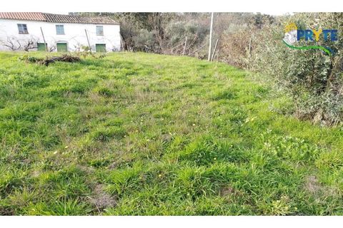 Landejendom i Serta, Castelo Branco, Serta - € 57.000 | Ref: VF129 - foto 7