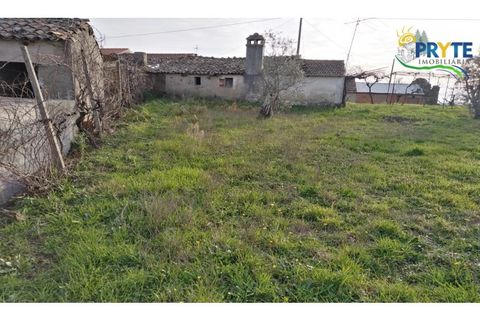 Landejendom i Serta, Castelo Branco, Serta - € 57.000 | Ref: VF129 - foto 8