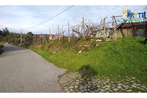 Landejendom i Serta, Castelo Branco, Serta - € 57.000 | Ref: VF129 - foto 17